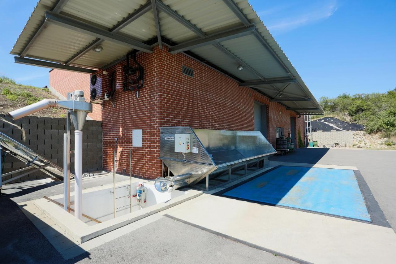 Penzion U Vinarstvi Sabata Zaječí Exteriör bild